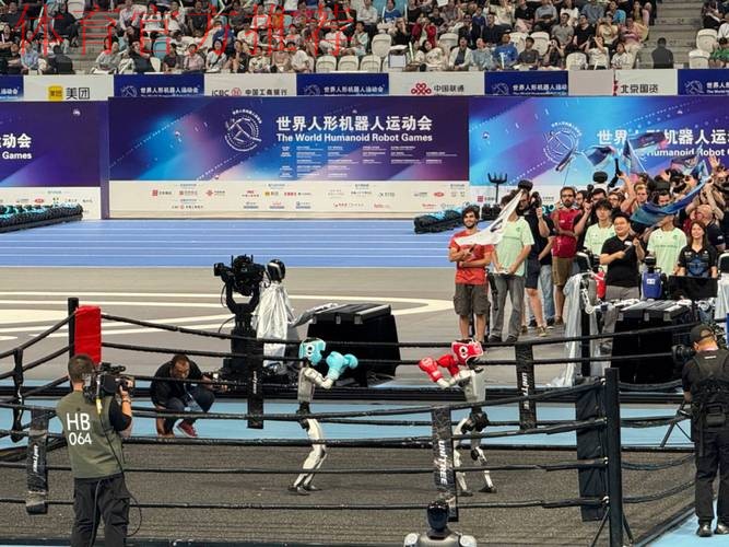 国内十大候选：首届世界人形机器人运动会成功举办